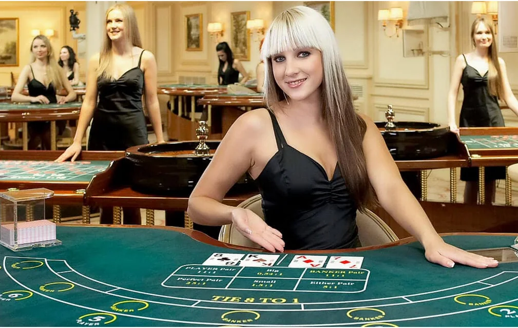 Pengalaman kasino live pada layar mobile dengan dealer dan panel meja